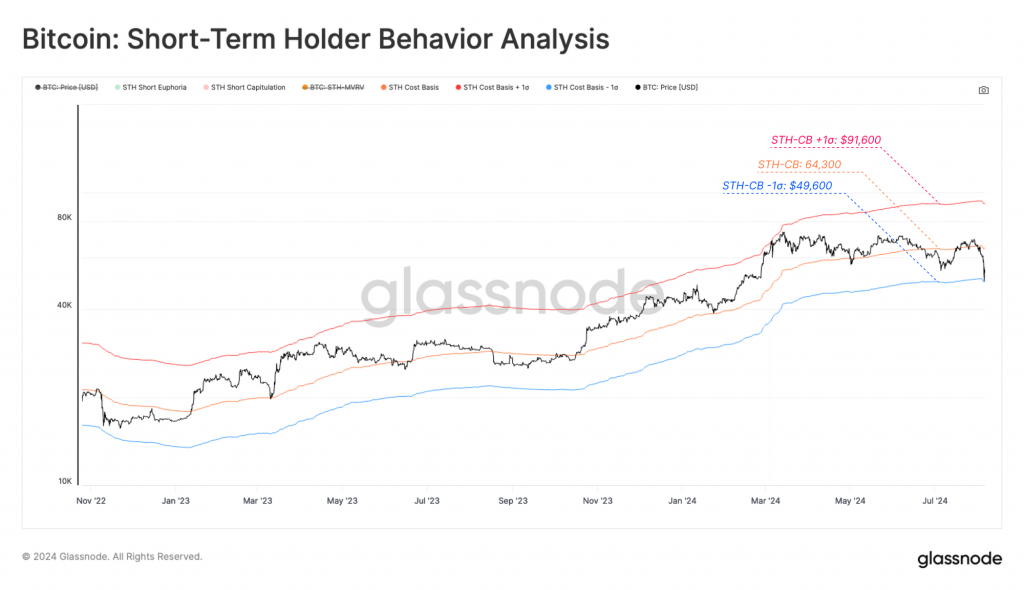 short term holder